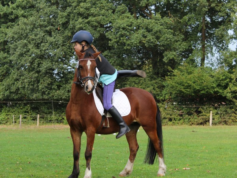 Ce qu’il faut savoir sur le gilet d’equitation pour enfant